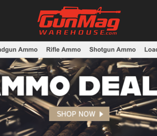 GunMag Warehouse Federal Champion 9mm On Sale