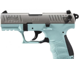 Palmetto State Armory Walther P22Q For $299