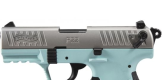 Palmetto State Armory Walther P22Q For $299