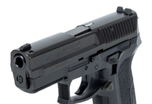 Palmetto State Armory SIG SP2022SO Deals