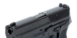 Palmetto State Armory SIG SP2022SO Deals