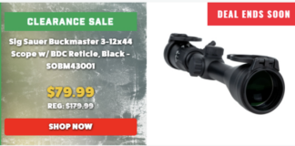 Palmetto State Armory SIG Buckmaster Scope On Clearance