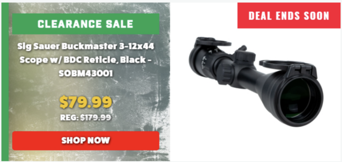 Palmetto State Armory SIG Buckmaster Scope On Clearance