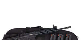 Palmetto State Armory M&P 15-22 Package Deal $399