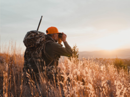 Leupold Savings