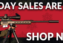 EuroOptic Holiday Sales