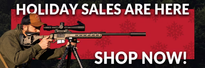 EuroOptic Holiday Sales