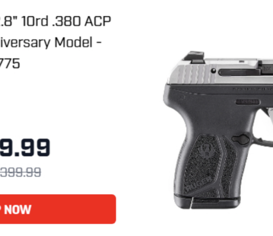 Palmetto State Armory Ruger LCP Max Deals