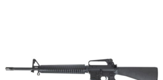 Palmetto State Armory H&R A2 For Sale