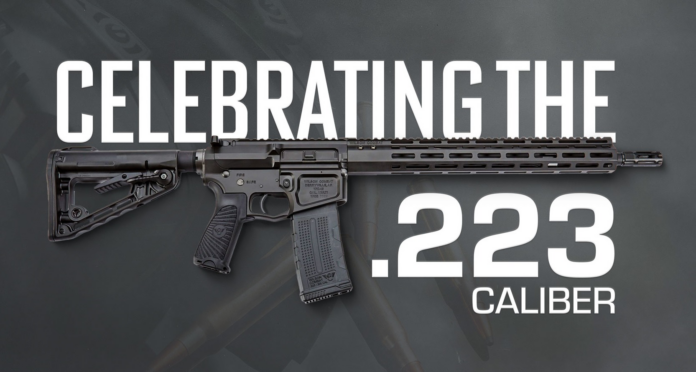 Wilson Combat Celebrate 2/23 Day