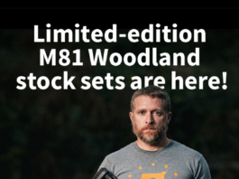 Rossi Woodland Stock Sets