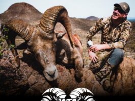 Leupold win a sheep hunt