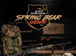 MDT Giveaway