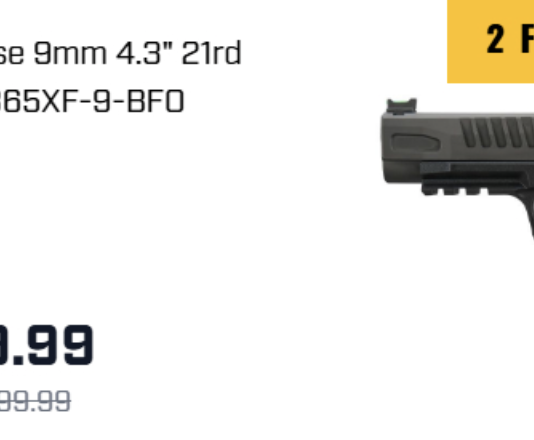 SIG Sauer P365 FUSE Palmetto State Armory On Sale