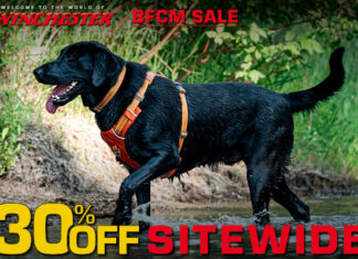 Pets Enjoy The Holidays Too With Winchester