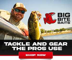 Big Bite Baits Current Sale Items deals
