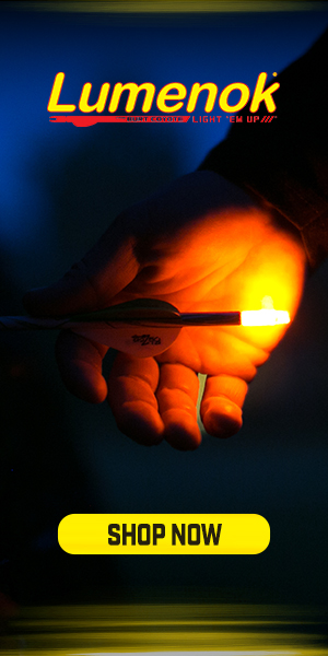 Lumenok Current Sale Items current deals