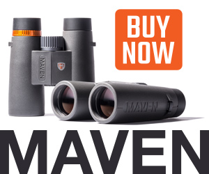 Maven deals