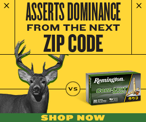 Remington Current Sale Items deals